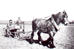f3206