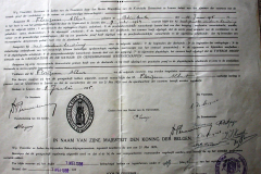 f781v